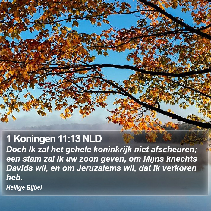 1 Koningen 11:13 NLD Bible Study