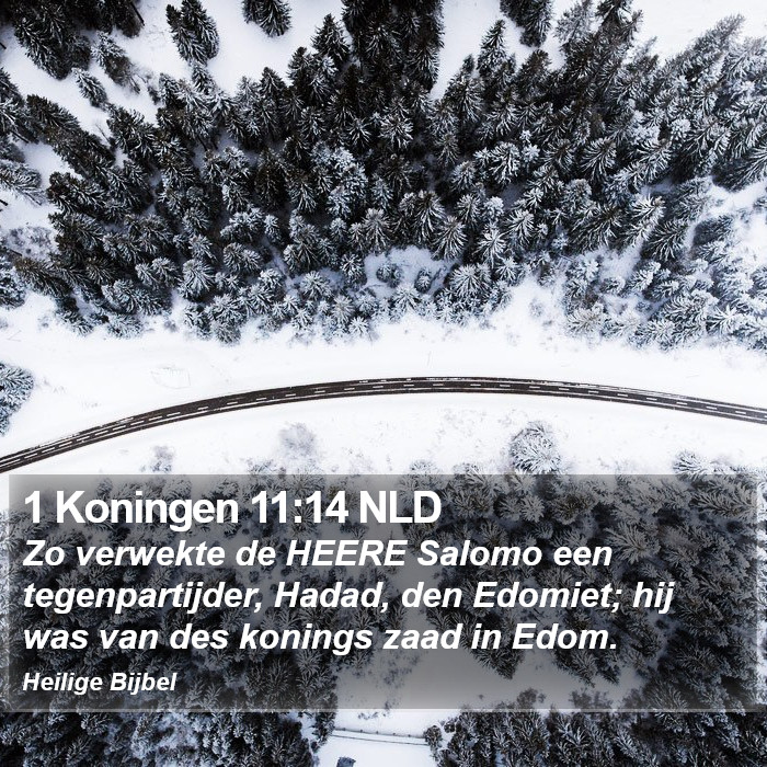 1 Koningen 11:14 NLD Bible Study