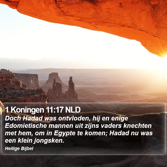 1 Koningen 11:17 NLD Bible Study