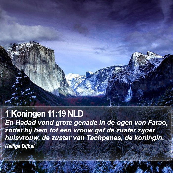 1 Koningen 11:19 NLD Bible Study