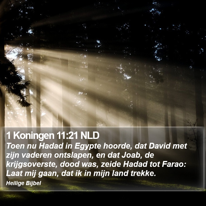 1 Koningen 11:21 NLD Bible Study