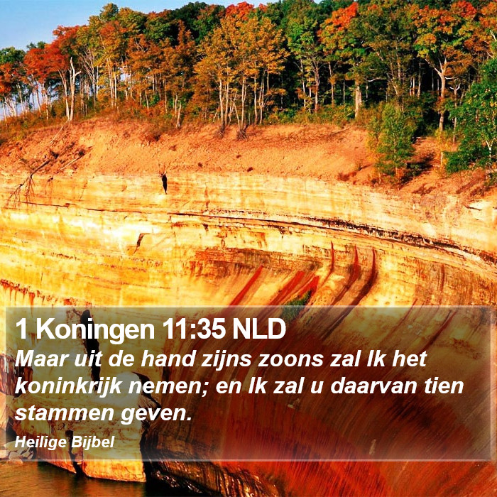 1 Koningen 11:35 NLD Bible Study