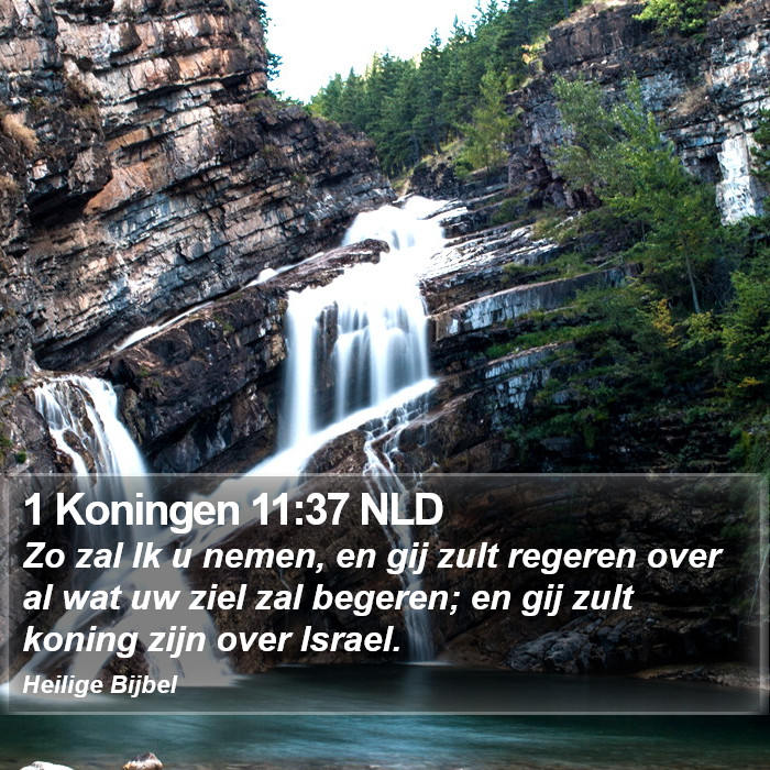 1 Koningen 11:37 NLD Bible Study