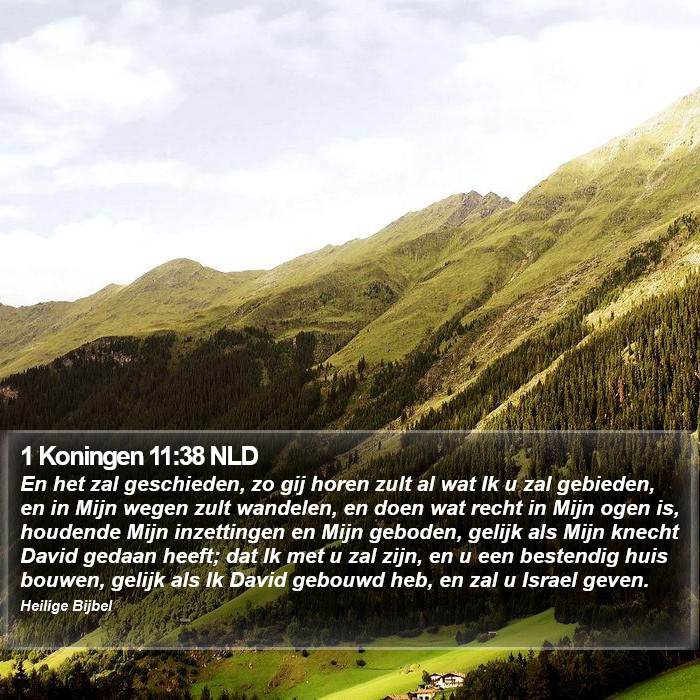 1 Koningen 11:38 NLD Bible Study