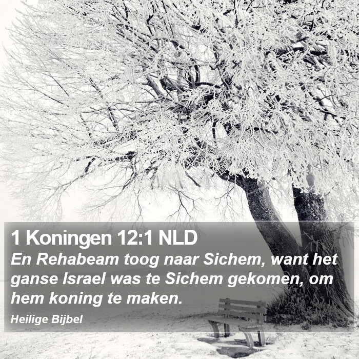 1 Koningen 12:1 NLD Bible Study