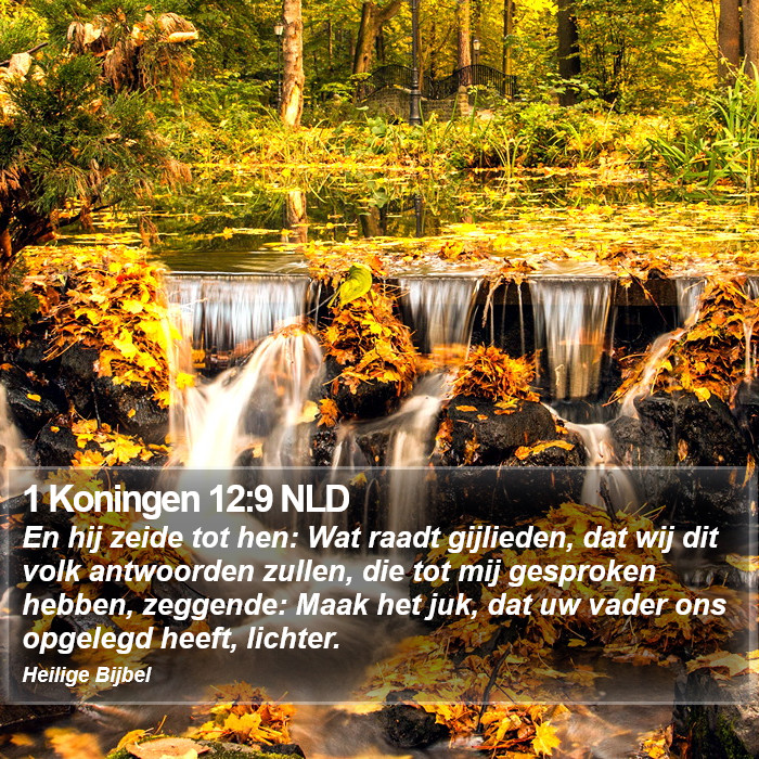 1 Koningen 12:9 NLD Bible Study