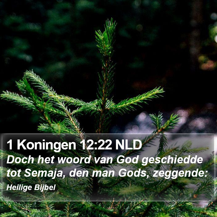 1 Koningen 12:22 NLD Bible Study