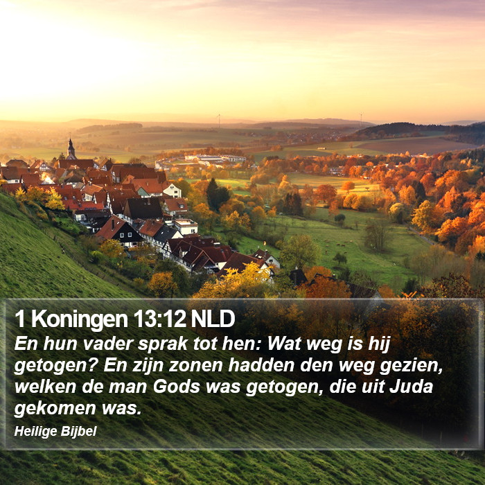 1 Koningen 13:12 NLD Bible Study