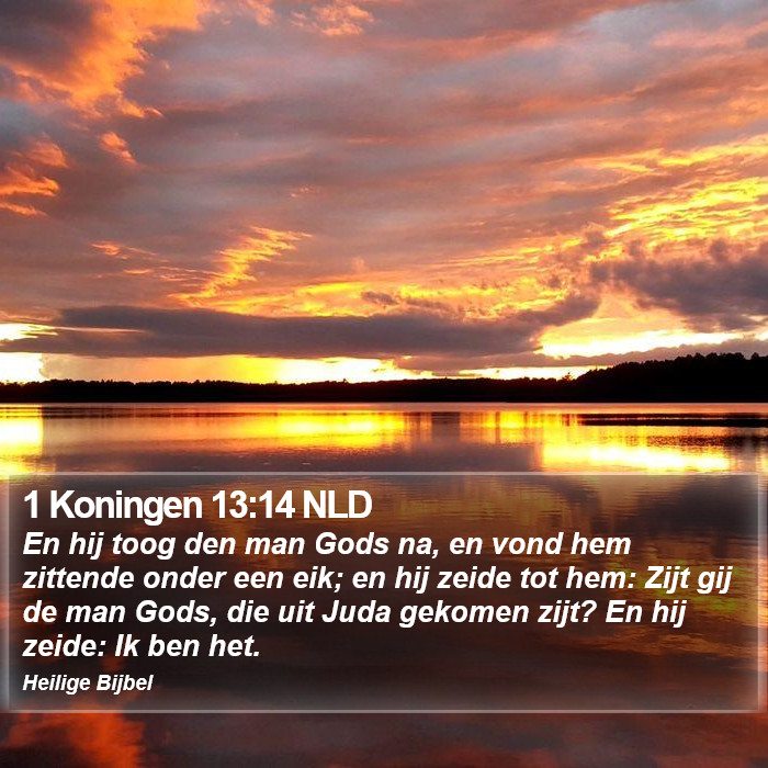 1 Koningen 13:14 NLD Bible Study