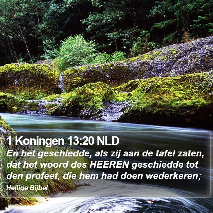 1 Koningen 13:20 NLD Bible Study