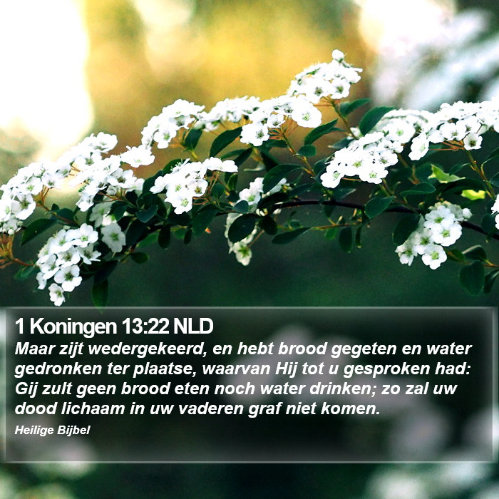 1 Koningen 13:22 NLD Bible Study