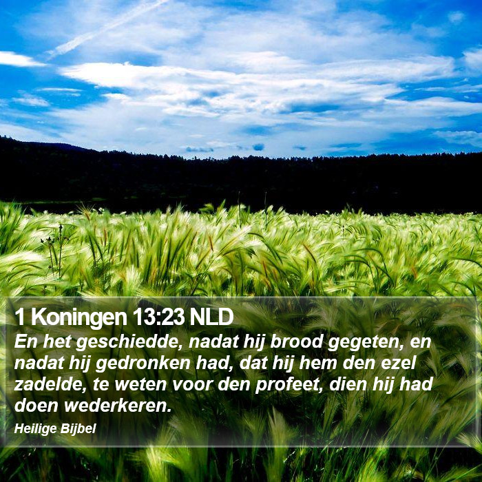 1 Koningen 13:23 NLD Bible Study