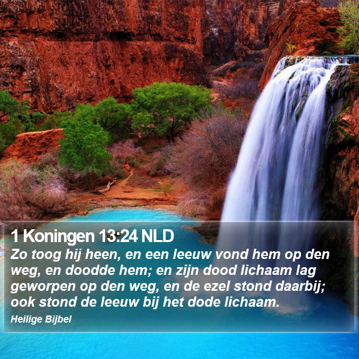 1 Koningen 13:24 NLD Bible Study