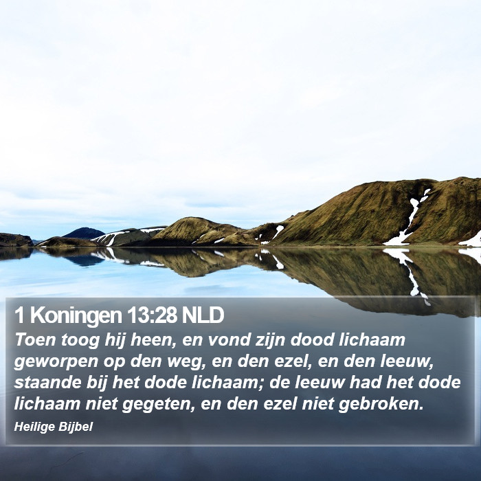 1 Koningen 13:28 NLD Bible Study