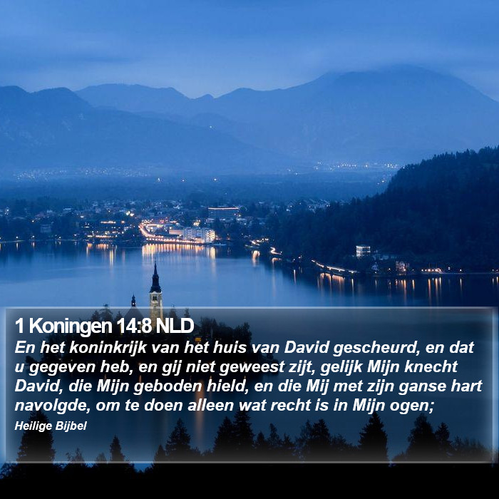 1 Koningen 14:8 NLD Bible Study