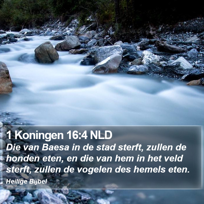 1 Koningen 16:4 NLD Bible Study