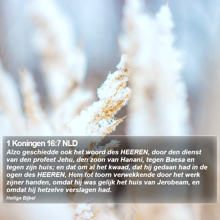 1 Koningen 16:7 NLD Bible Study