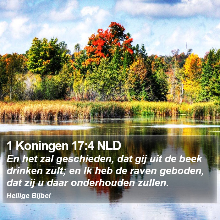 1 Koningen 17:4 NLD Bible Study