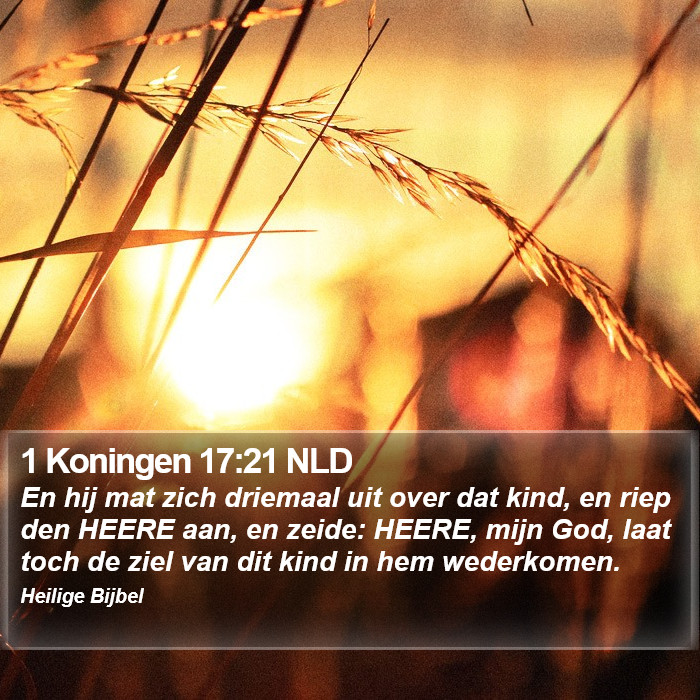 1 Koningen 17:21 NLD Bible Study