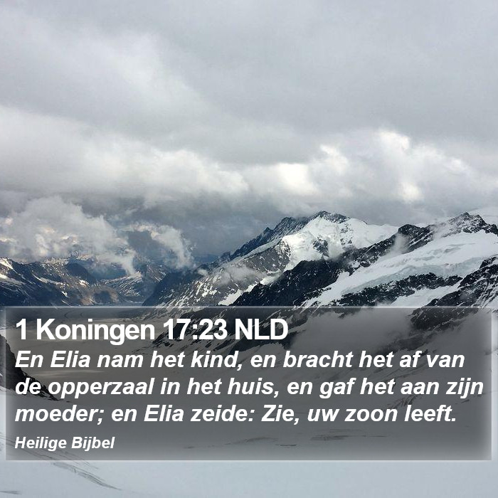 1 Koningen 17:23 NLD Bible Study