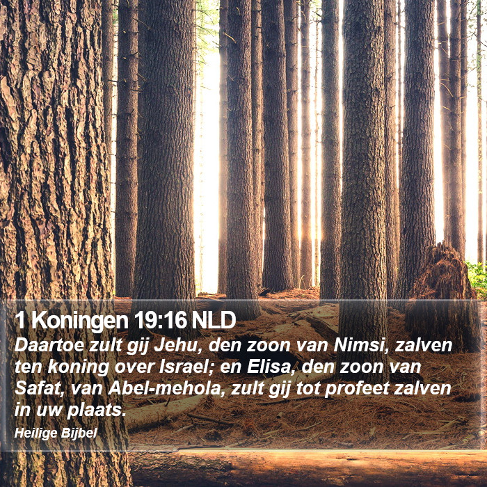 1 Koningen 19:16 NLD Bible Study