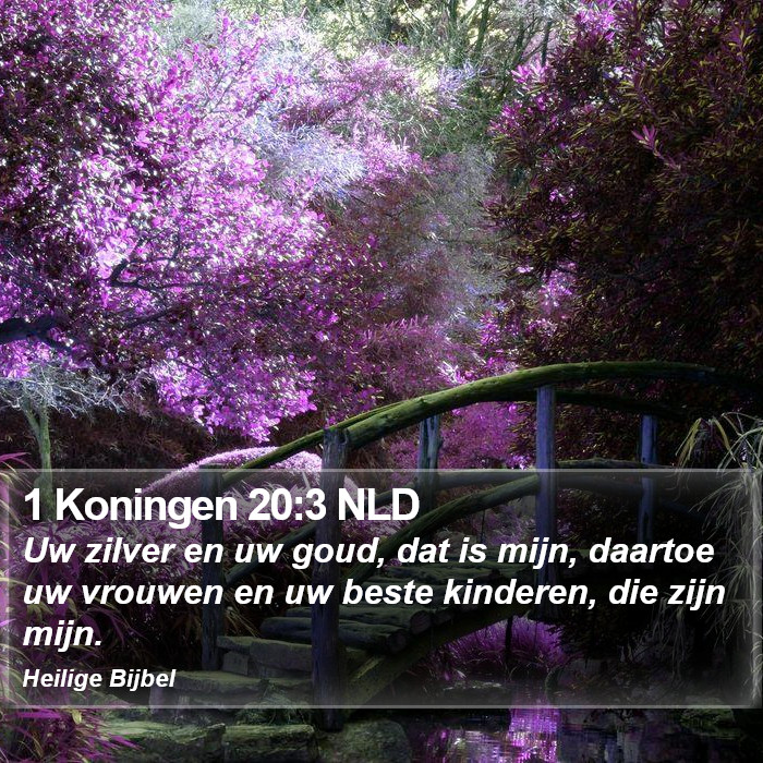1 Koningen 20:3 NLD Bible Study