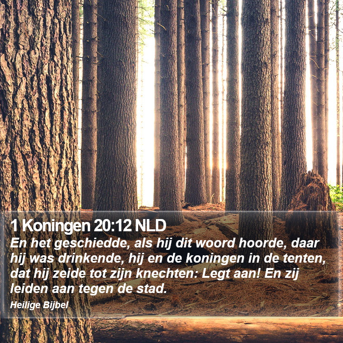 1 Koningen 20:12 NLD Bible Study