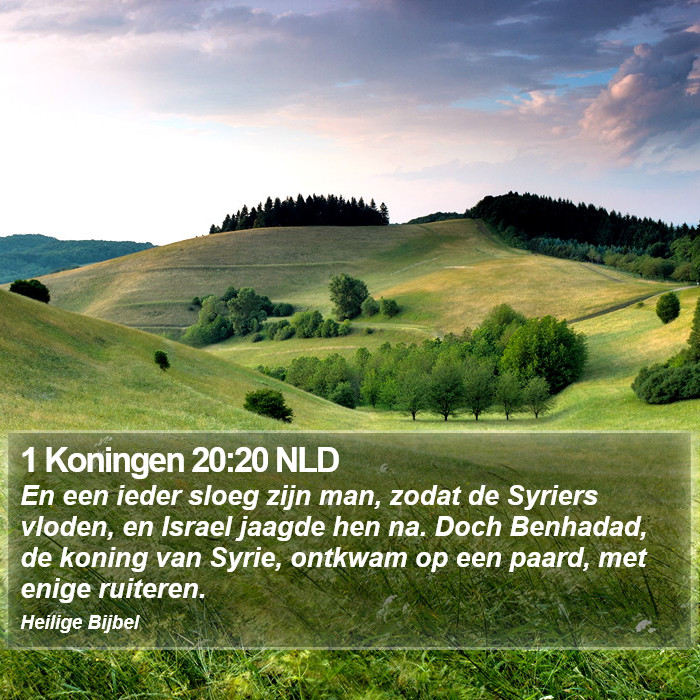 1 Koningen 20:20 NLD Bible Study