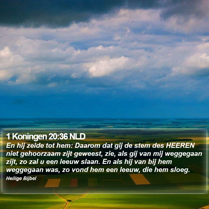 1 Koningen 20:36 NLD Bible Study