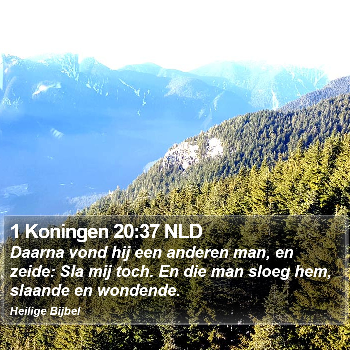 1 Koningen 20:37 NLD Bible Study