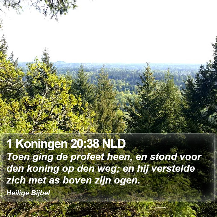 1 Koningen 20:38 NLD Bible Study