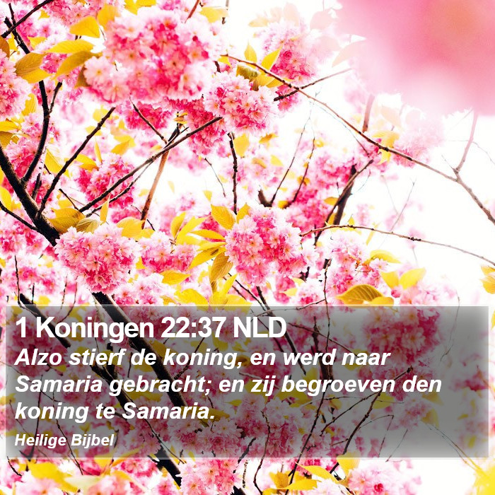 1 Koningen 22:37 NLD Bible Study