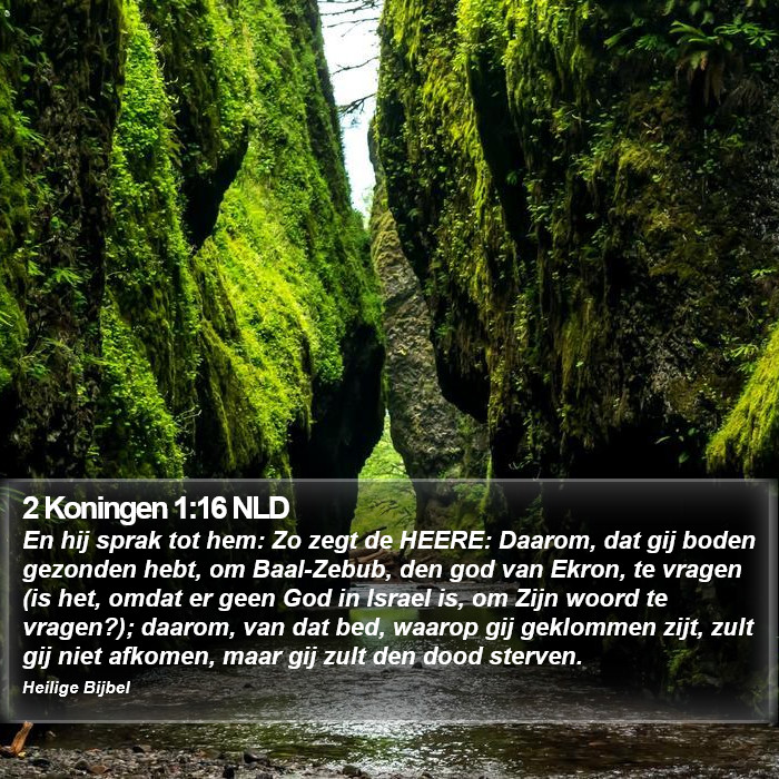 2 Koningen 1:16 NLD Bible Study