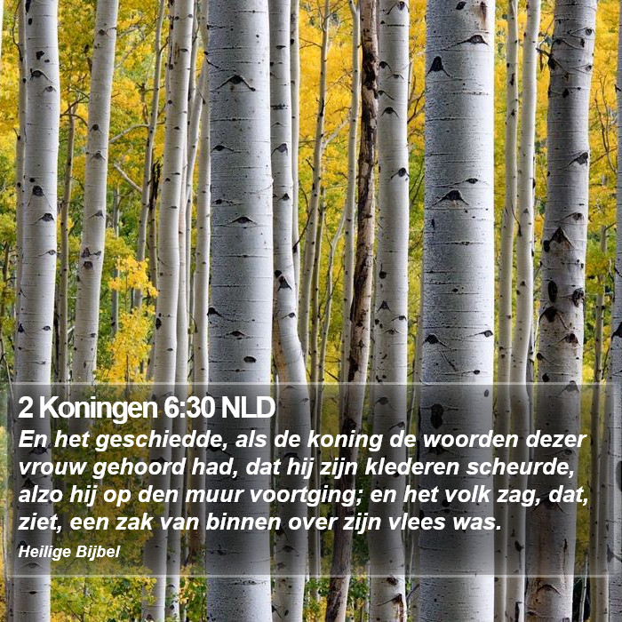 2 Koningen 6:30 NLD Bible Study