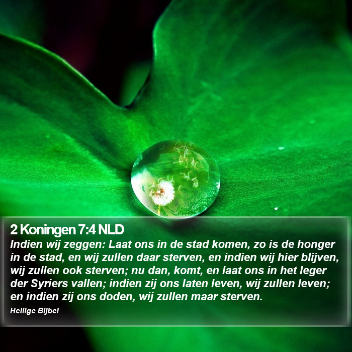 2 Koningen 7:4 NLD Bible Study