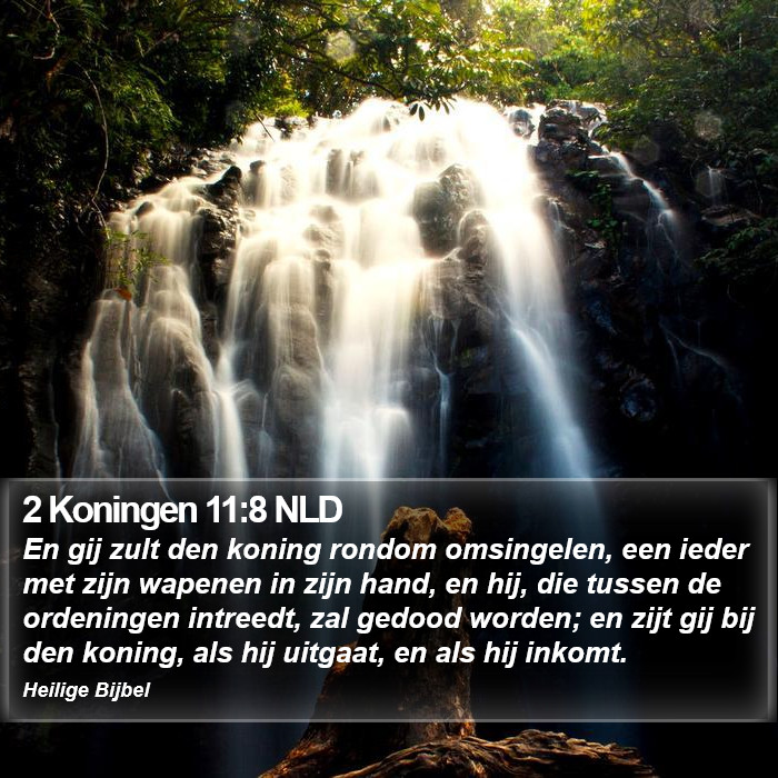 2 Koningen 11:8 NLD Bible Study