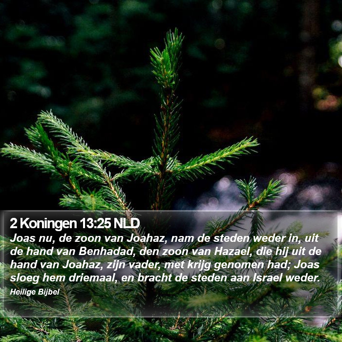 2 Koningen 13:25 NLD Bible Study