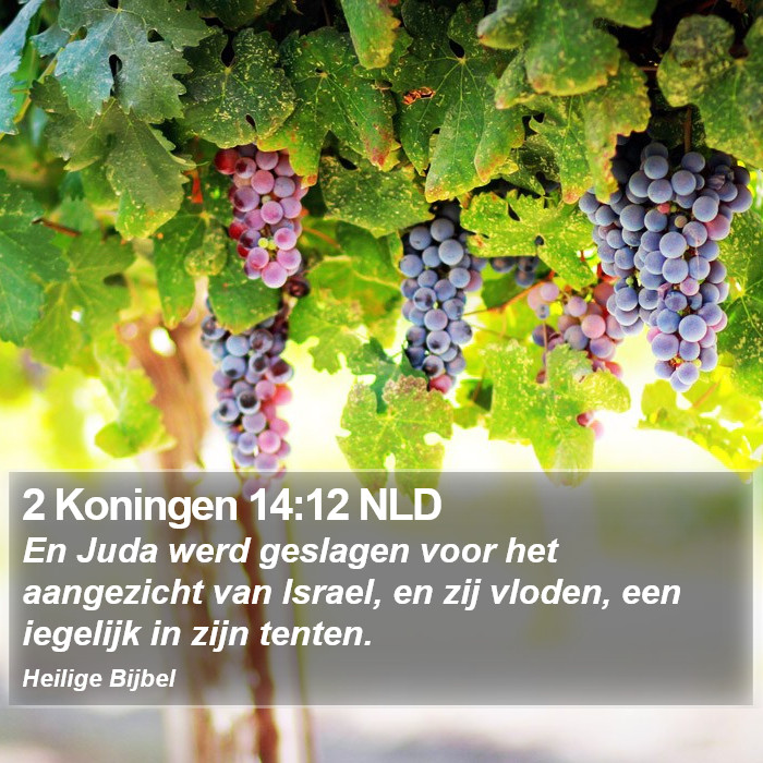 2 Koningen 14:12 NLD Bible Study