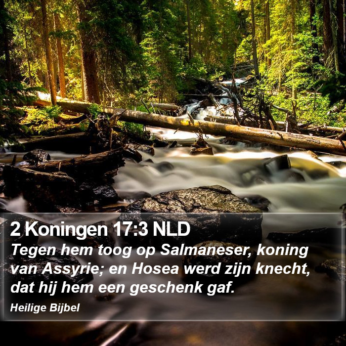 2 Koningen 17:3 NLD Bible Study