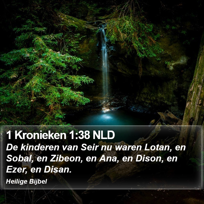 1 Kronieken 1:38 NLD Bible Study