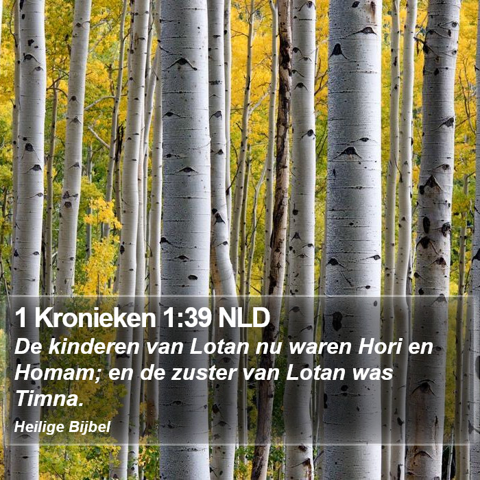 1 Kronieken 1:39 NLD Bible Study