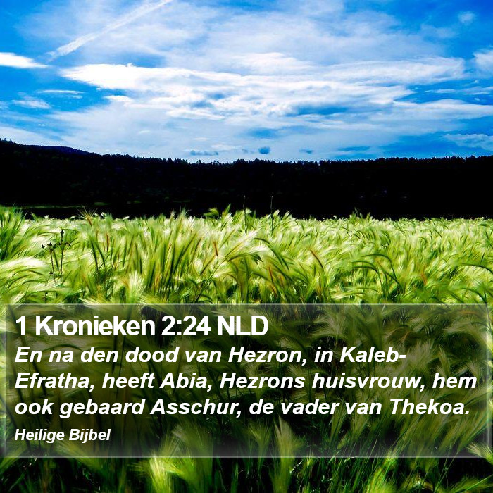 1 Kronieken 2:24 NLD Bible Study