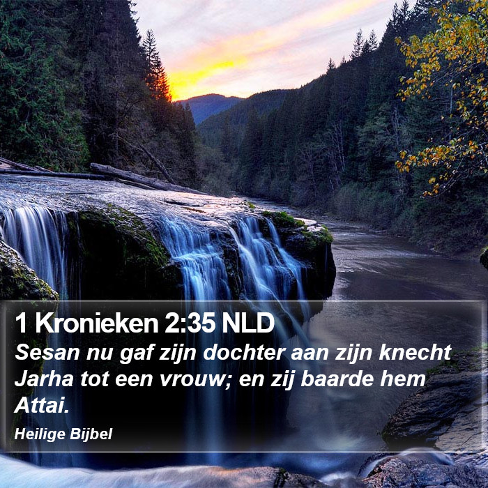 1 Kronieken 2:35 NLD Bible Study