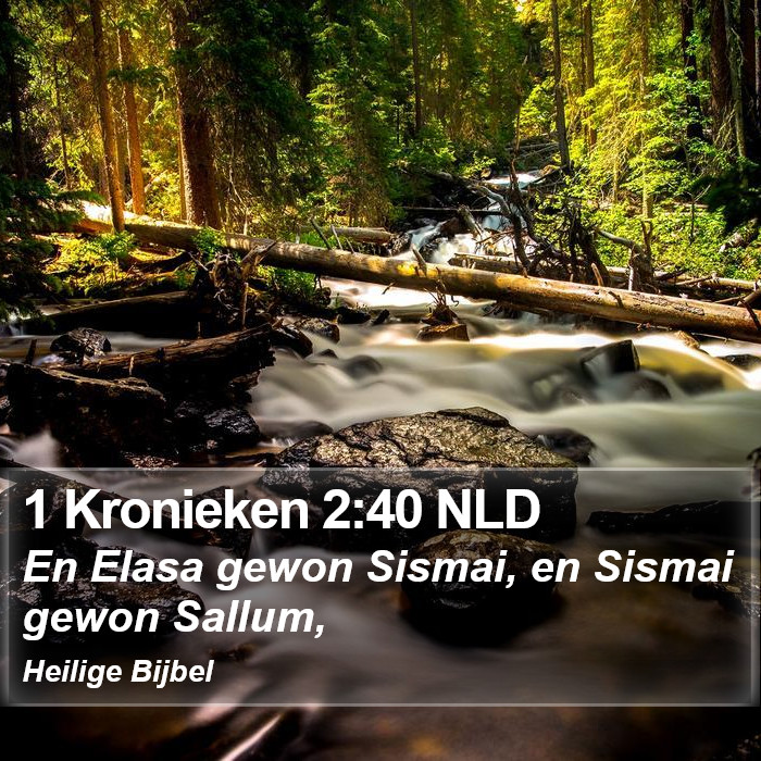 1 Kronieken 2:40 NLD Bible Study