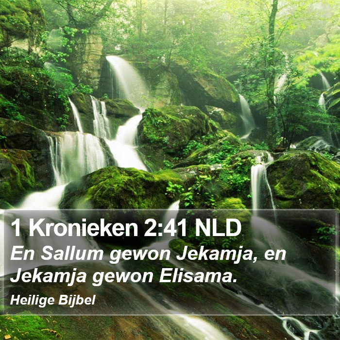 1 Kronieken 2:41 NLD Bible Study