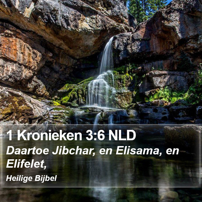 1 Kronieken 3:6 NLD Bible Study