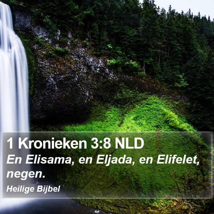 1 Kronieken 3:8 NLD Bible Study