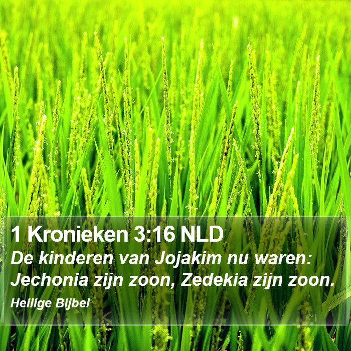 1 Kronieken 3:16 NLD Bible Study