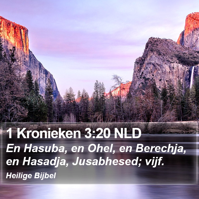 1 Kronieken 3:20 NLD Bible Study