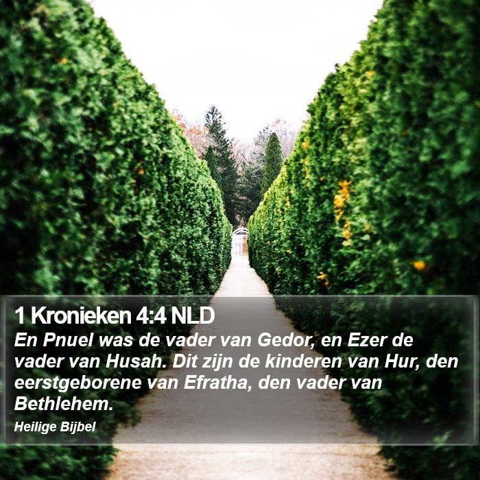 1 Kronieken 4:4 NLD Bible Study